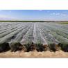 Buy cheap Professional Insect Mesh Netting Anti - Uv Heat Resistance For Garden from wholesalers