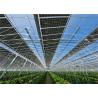 Buy cheap Indoor Greenhouse Solar System Farming Innovative Dynamic Photovoltaic Frameless Panel from wholesalers