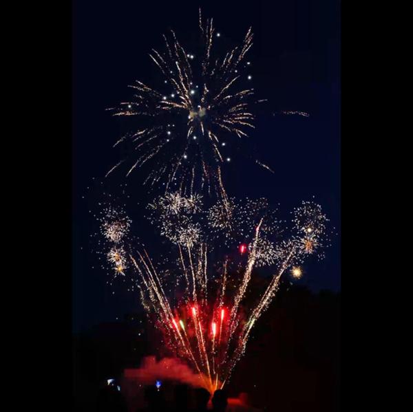 Buy cheap Chinese Customized Fireworks Shots Pyrotechnics Party Festival Cake Fireworks Salute 2024 from wholesalers