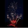 Buy cheap Chinese Customized Fireworks Shots Pyrotechnics Party Festival Cake Fireworks Salute 2024 from wholesalers