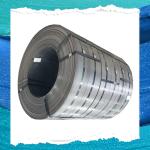 Standard Export Seaworthy Package Strip Coil Stainless Steel Strip Roll