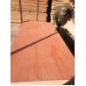 Buy cheap Alkaline Resistant WBP 22mm Hardwood Veneer Plywood from wholesalers