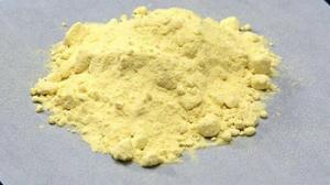 Wholesale High Quality pure Lichen Usnea Extract Usnic Acid 98% , Usnea barbata powder from china suppliers