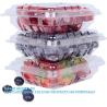 Buy cheap Wholesale Transparent Fresh Strawberry Packaging Container Supermarket Food Plastic Box Plastic Strawberry Packing Box from wholesalers