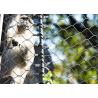 Buy cheap Diamond Hole Stainless Steel Ferrule Rope Mesh For Zoo Animal Enclosure Netting from wholesalers