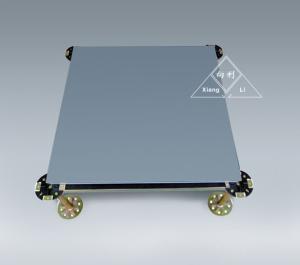 Wholesale Steel Encased Wood Core Raised Access Floor System from china suppliers
