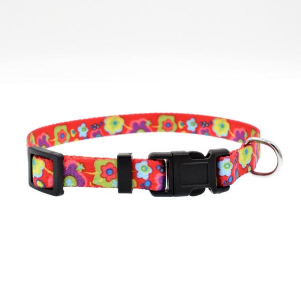 Buy cheap Wholesale Plain Nylon Braided Training Dog and Cat Collars and leash for walking from wholesalers
