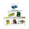 Buy cheap Foldable CMYK Printing Coated Paper Toy Packaging Boxes from wholesalers