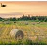 Buy cheap Customized HDPE Wrap UV Resistant Plastic Net Wrap Biodegradable from wholesalers