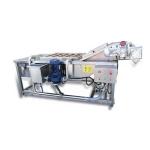2000kg/H Bubble Brush Citrus Fruit And Vegetable Washing Machine Hotels
