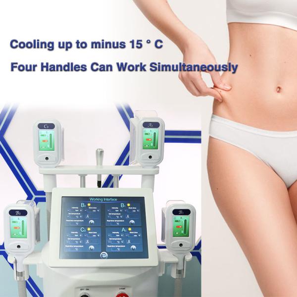 TUV Medical Ce / FDA Approved Professional 4 Cryo Handles Cryolipolysis Weight