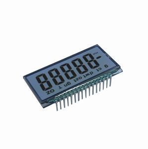 China 16pin 1.9 Inch Mono Lcd Screen Display For Sports Equipment on sale