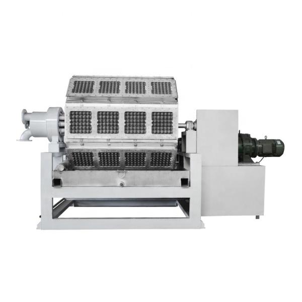 Buy cheap Recycled Waste Paper Egg Tray Making Machine For 4000pcs / H Capacity from wholesalers