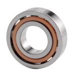 40bnr10xe; 40ber10xe Angular Contact Ball Bearings Electric Motors and