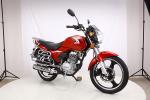Comfortable Custom Street Motorcycles Powerful Engine For Business Or Family