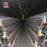 Buy cheap Agricultural Equipment Used Broiler Chicken Cage 180 Birds For Breeders from wholesalers