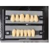 Buy cheap Clear Dental Acrylic Resin Kit Teeth Synthetic 2 Layers Dent Resin Teeth from wholesalers