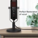 Cardioid USB 2.0 Condenser Recording Microphone OEM ODM For Laptop