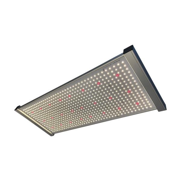 Buy cheap PWM Quantum Led Grow Light from wholesalers