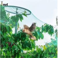 Buy cheap 7GSM Bird Proof Net Green Bird Proof Netting For Fruit Trees product