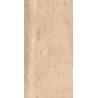 Buy cheap 200x1200mm wood look tiles,rustic porcelain tile,real wood color from wholesalers