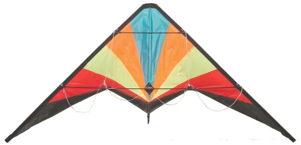 Buy cheap Classic style outdoor Delta sports kite colorfully with common size from wholesalers