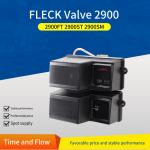 ANSI Medium Pressure Oceania 2900FT Fleck Control Valve