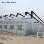 Sheet Covering Plastic Film Greenhouse For Tomatoes Agricultural Multi Span