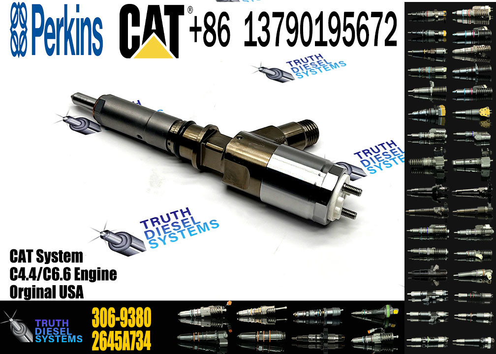 Fuel Injector 320-0677 320-0690 320-0680 2645A709 295-9130 306-9380 306-9390 310-9067 For CAT