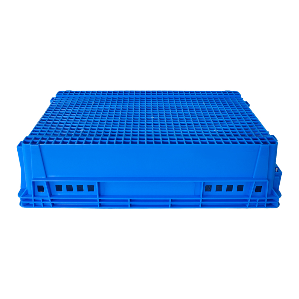 Mesh Style Plastic Food Turnover Box for Eco-Friendly Bread and Food Storage Solution