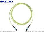 OM5 50/125 MPO MTP Patch Cord Female Truck Cable Interconnect Assemblies