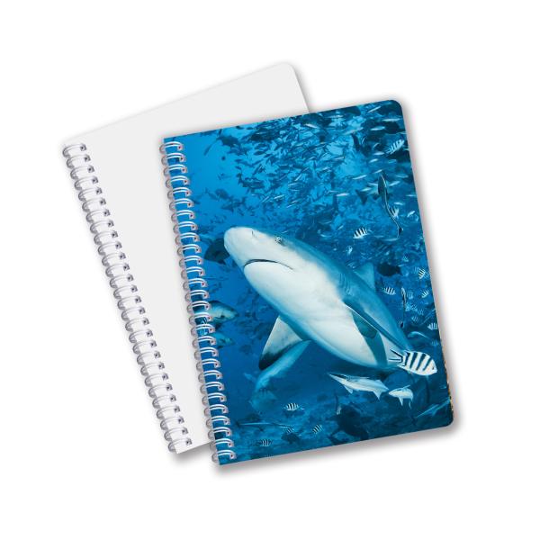 Buy cheap Hot Selling School Stationery 3D Lenticular Printing Diary Notebook for Souvenir from wholesalers