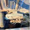 Buy cheap Affordable Cost Hitachi 450-6 Excavator 2019 Made in Japan with 1.9 m3 Bucket Capacity from wholesalers