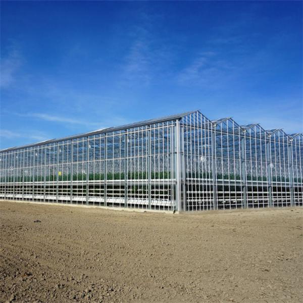 Buy cheap Hydroponic System Vegetable Venlo Glass Greenhouse Fully Automated Ventilation from wholesalers