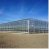Buy cheap Hydroponic System Vegetable Venlo Glass Greenhouse Fully Automated Ventilation from wholesalers