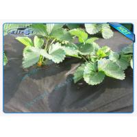 Buy cheap Water Permeable Garden Fabric Agriculture Non Woven Cover Weed Suppressant product