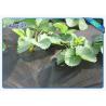 Buy cheap Biodegradable Heavy Duty Agricultrual Non Woven Cover In Black Color 1.5OZ 40gsm To 100gsm from wholesalers