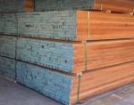 BUY Cedrela Odorata Solid Wood Sheets / Boards 50mm Thickness