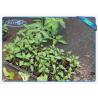 Buy cheap Virgin Polyester Non Woven Landscape Fabric Air Permeable Small Rolls from wholesalers