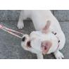 Buy cheap 7.62m 25 Foot Nylon Anti Pull Dog Leash Around Chest Mouth Waist from wholesalers