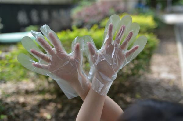 Buy cheap Food Handling Transparent 1.1g/Piece Disposable Hdpe Gloves from wholesalers
