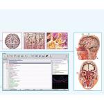 13 Best Reasons For You Use Metatron 8d Nls NLS 4025 Hunter for Cardiovascular