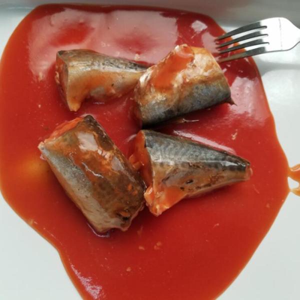 Buy cheap 425G Canned Mackerel In Tomato Sauce Canned Fish to Different Markets from wholesalers