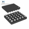 Buy cheap MAX8900BEWV+T from wholesalers