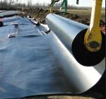 HDPE Geomembrane Sheet for Fish Farm Tank Pond Tarpaulin Liner Piscine at