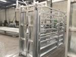 Durable Cattle Livestock Crush / Livestock Fence Panels 3000mm Length