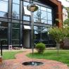 Buy cheap Stainless Steel Sculpture Drip with Mirror Polished Finish from wholesalers