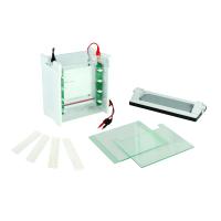 Buy cheap Lab Use Polyacrylamide Gel Electrophoresis Apparatus Mini Protean Electrophoresi product