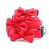 Buy cheap Cute Classic Ribbon Dog Collars , Designer Dog Collars Bamboo Hemp Material from wholesalers