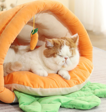 cozy cat cave